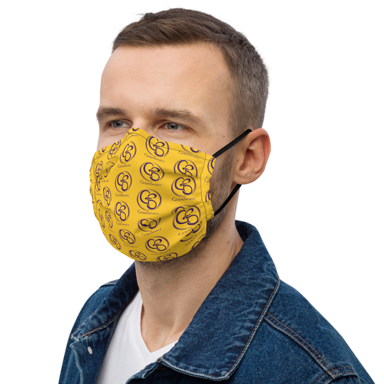 Reusable Face Mask- Gold and Purple - GermSanity